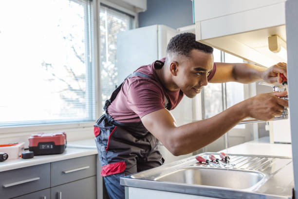 Best Residential Plumbing Services  in Wheaton, IL