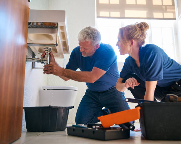 Best Affordable Plumbing Services  in Wheaton, IL