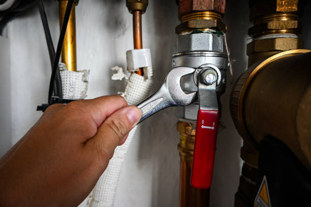 Wheaton, IL Plumbing Pros